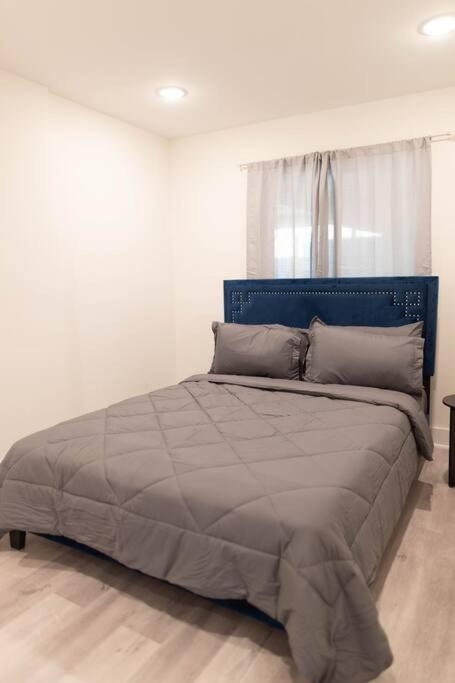 Platinum Palace 1Br 1Ba - Central Dallas Stay Dış mekan fotoğraf
