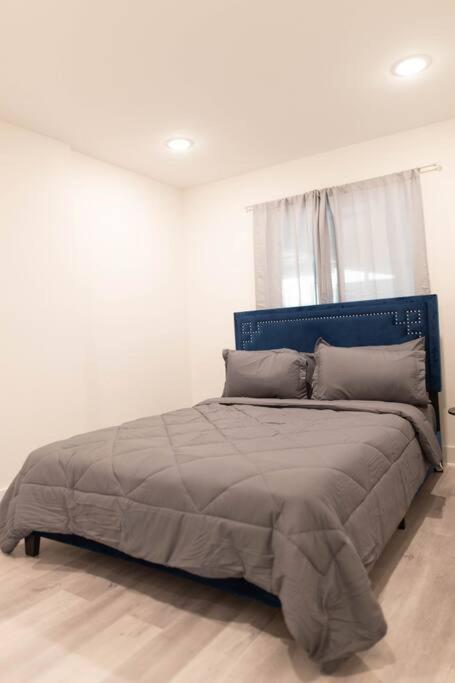 Platinum Palace 1Br 1Ba - Central Dallas Stay Dış mekan fotoğraf